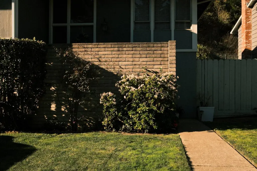 weed-free residential lawn